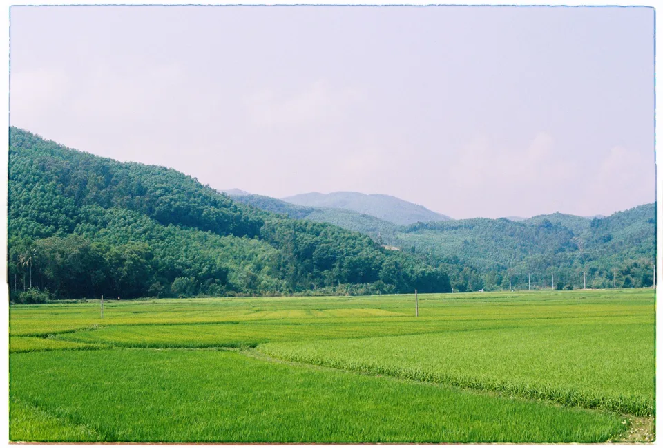 Kho gạo của Trần Xuân Sanh
